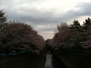 2010040505.jpg