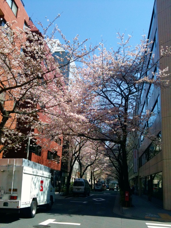 2011040488.jpg