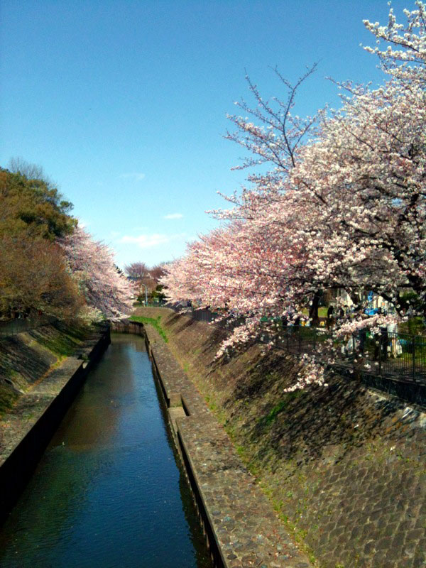 2012041002.jpg